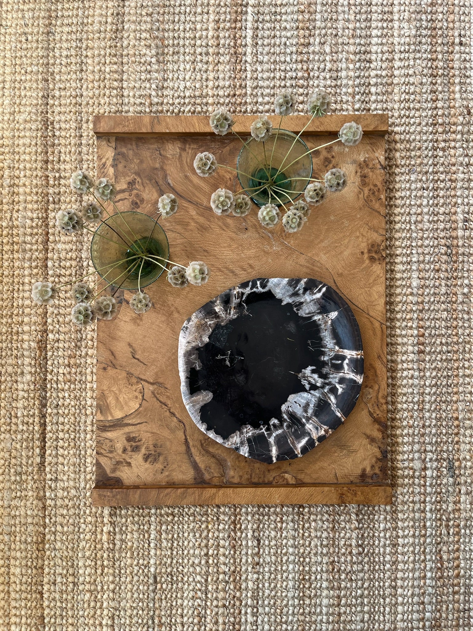 Deep Black Crystal-Edged Petrified Wood Tray