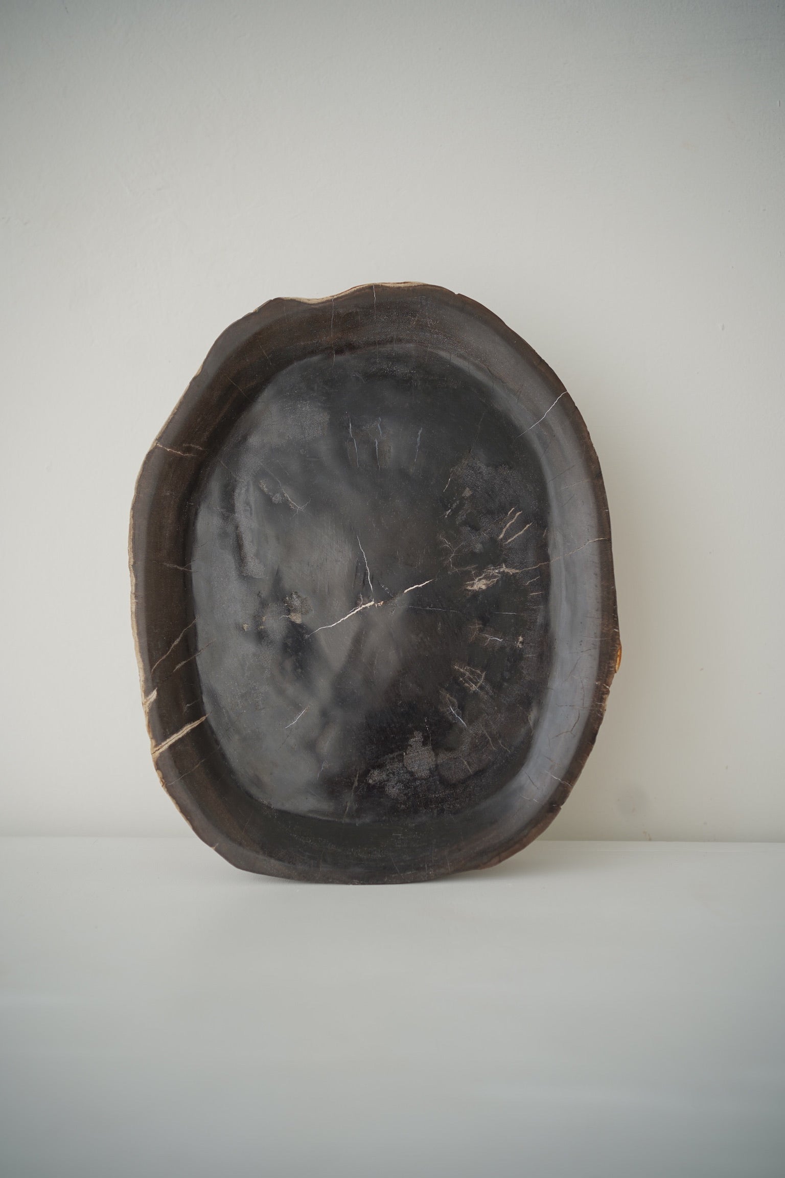 Soft Black Organic Petrified Wood Tray