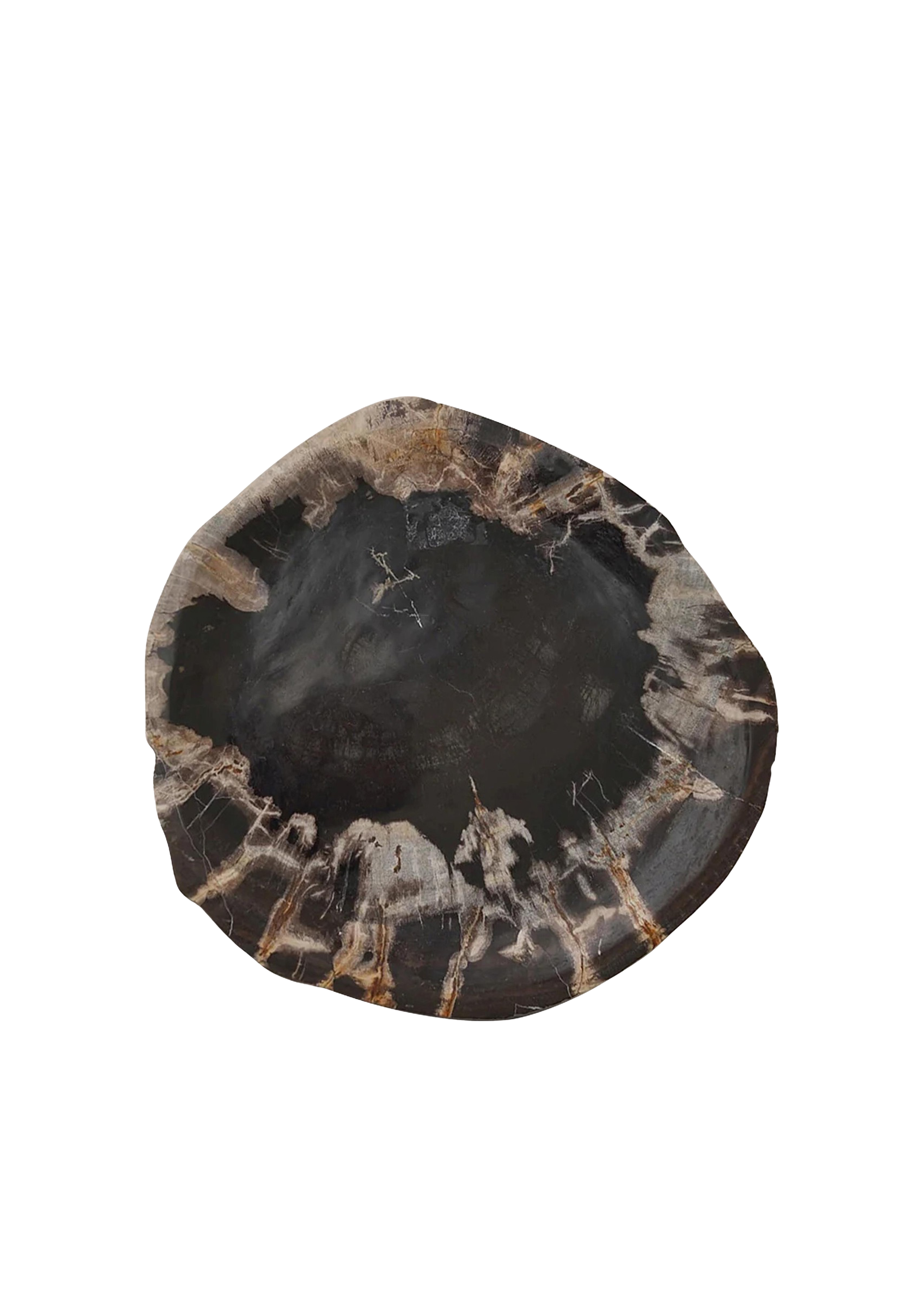 Deep Black Crystal-Edged Petrified Wood Tray