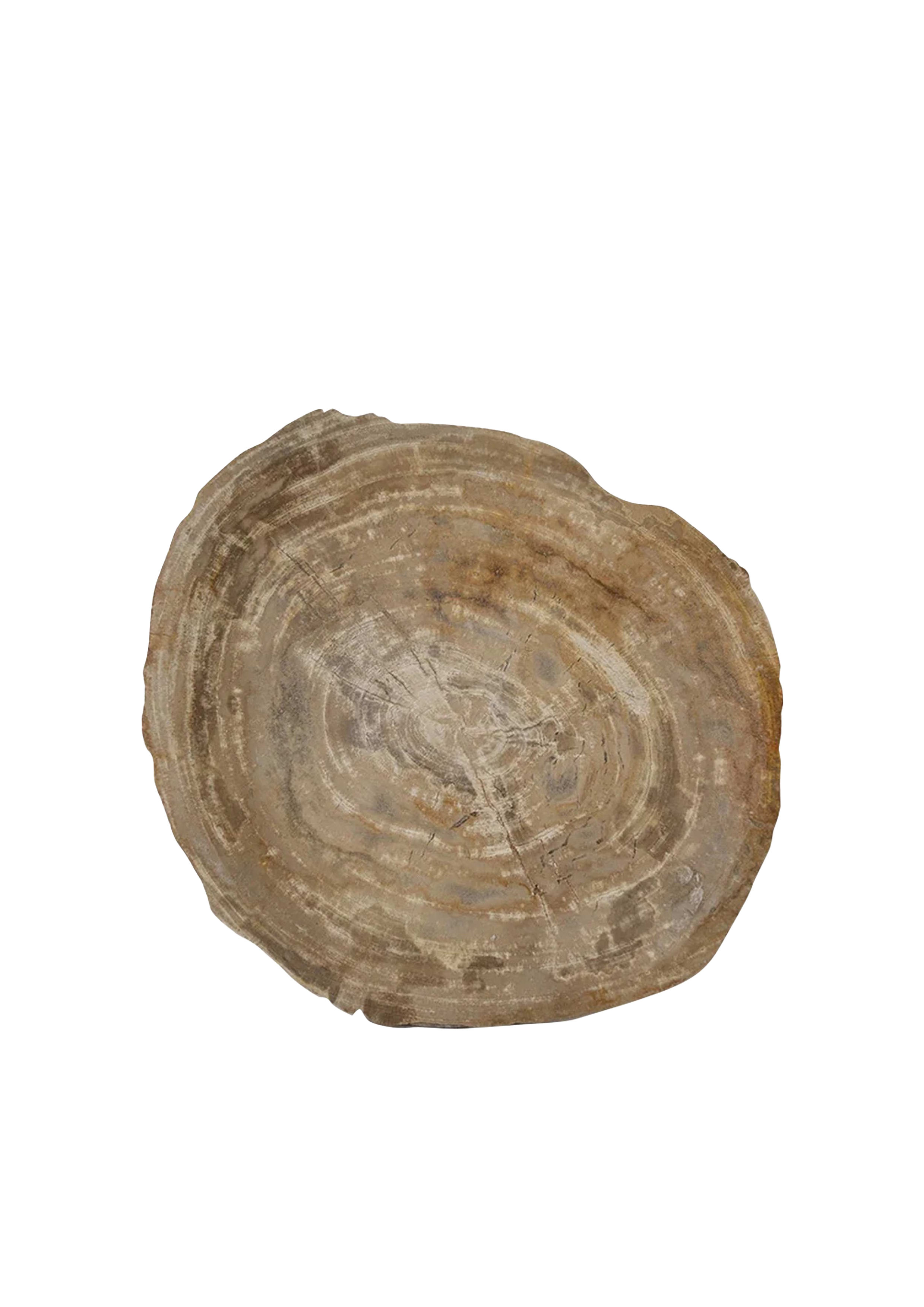 Natural Stone Petrified Wood Slice Tray