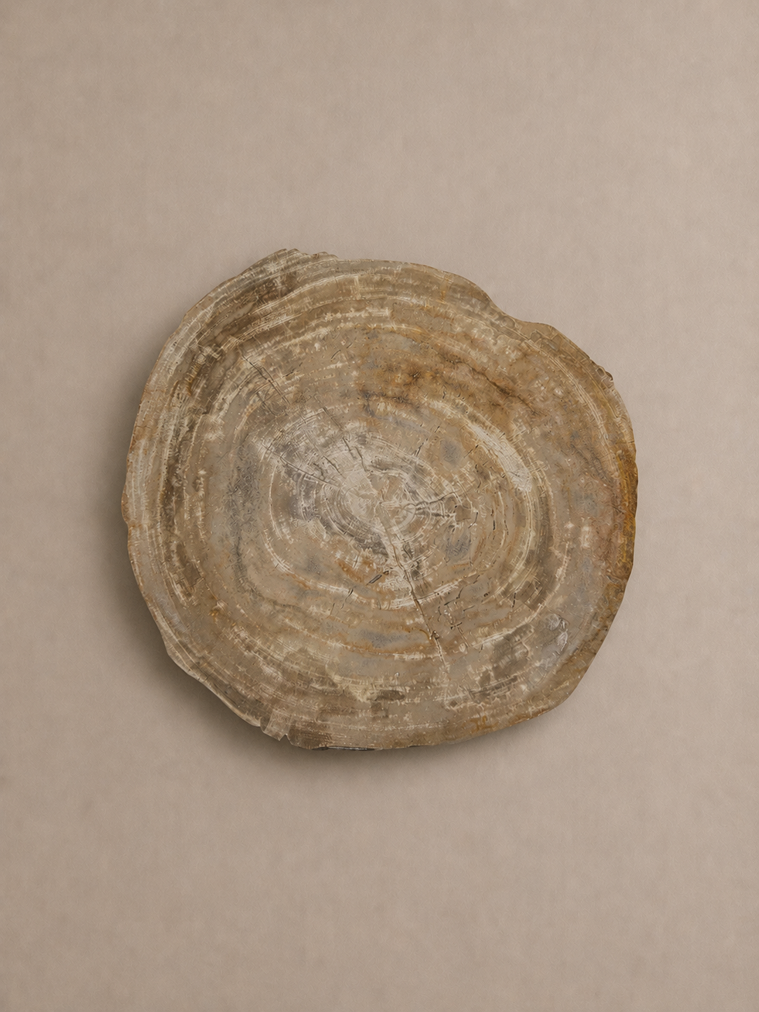 Natural Stone Petrified Wood Slice Tray