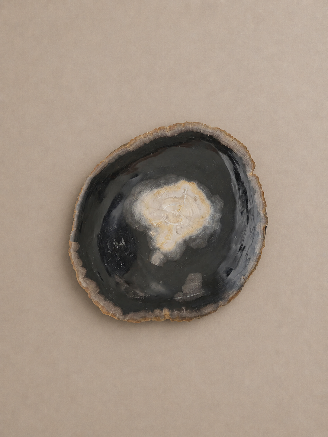 Midnight Centre Petrified Wood Bowl Tray