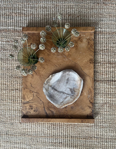 Pale Mineral Petrified Wood Tray