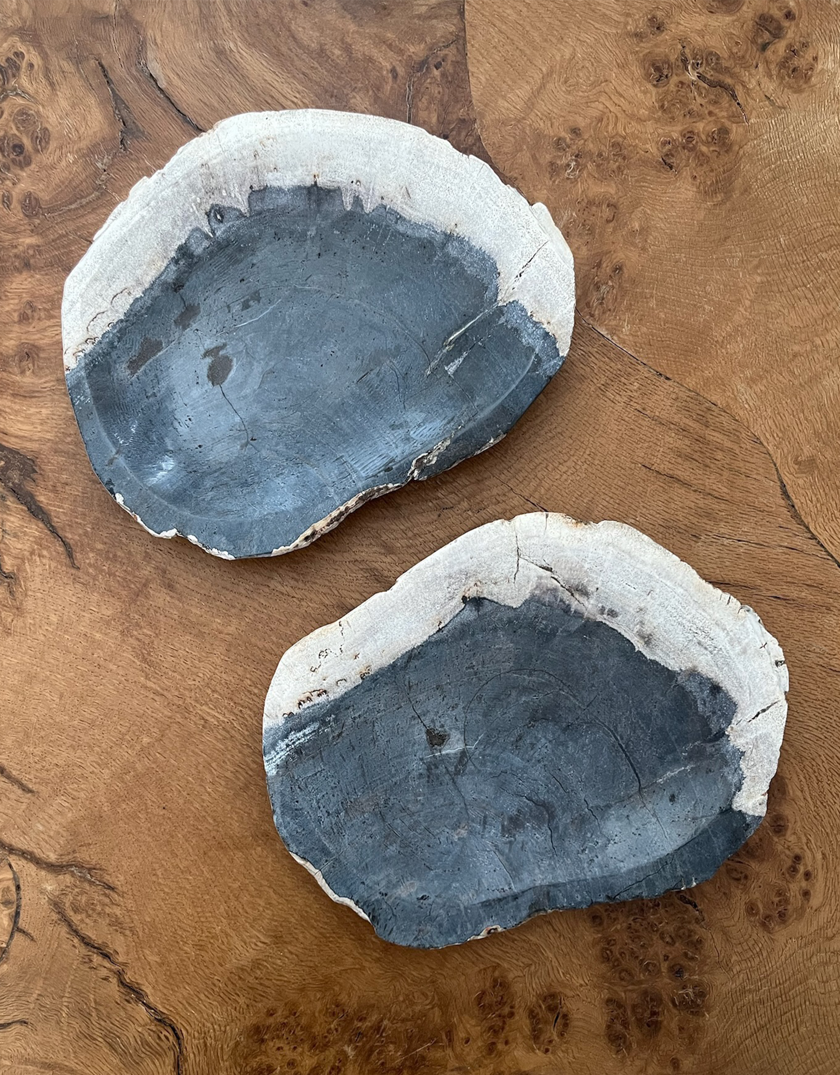 Indigo-Toned Petrified Wood Pair