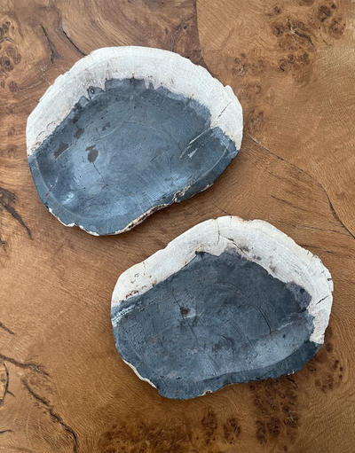Indigo-Toned Petrified Wood Pair