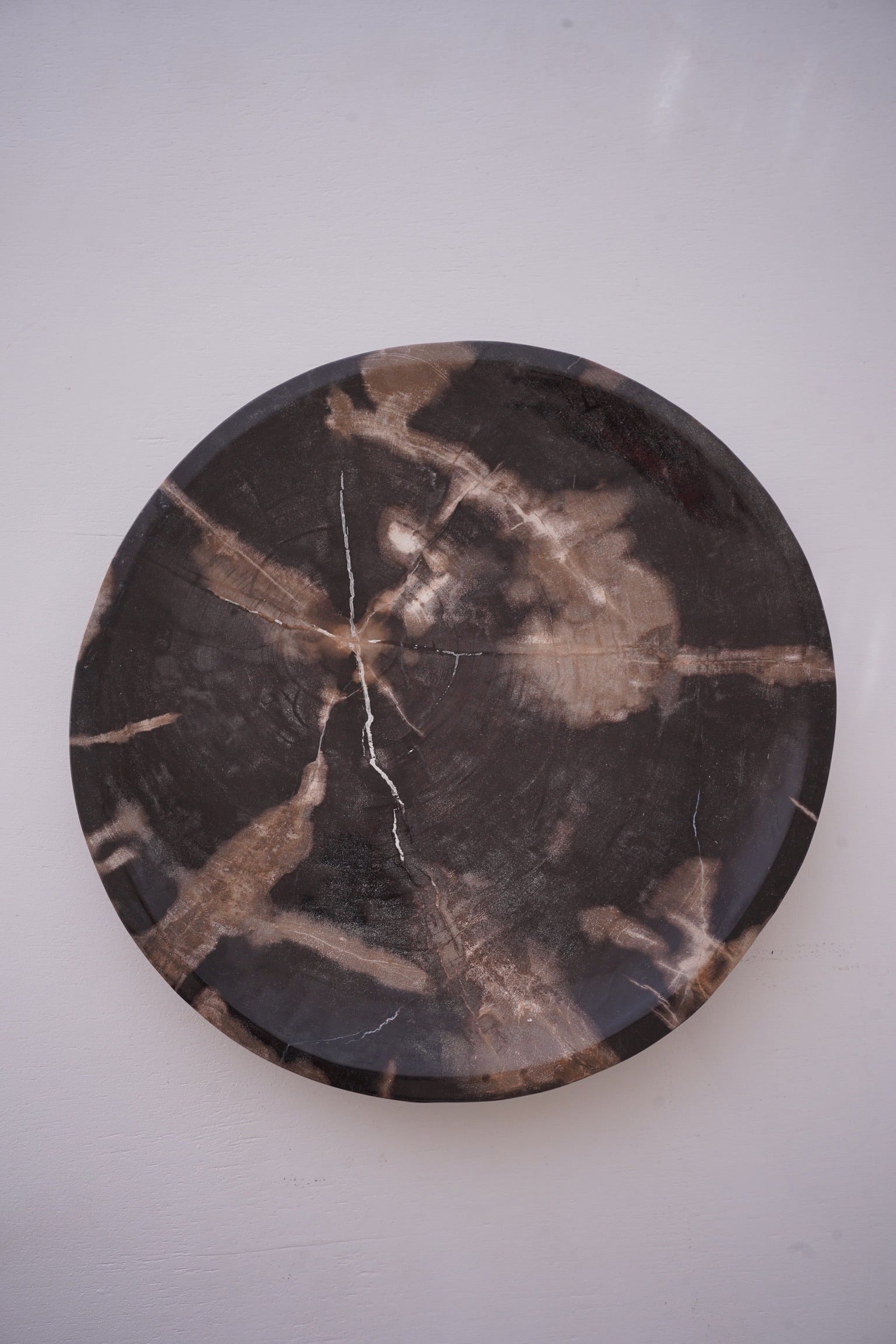 Dark Mineral Petrified Wood Tray