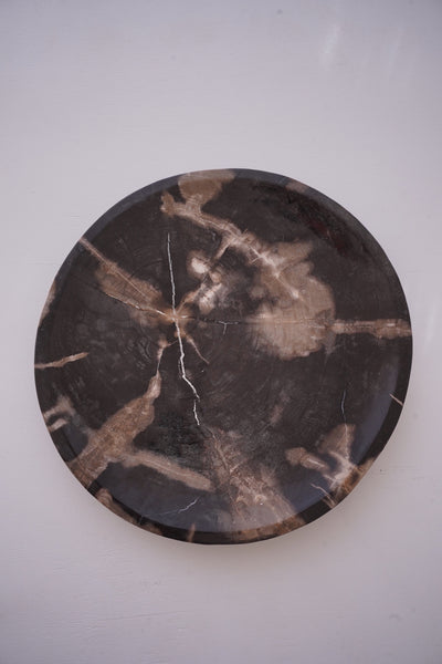 Dark Mineral Petrified Wood Tray