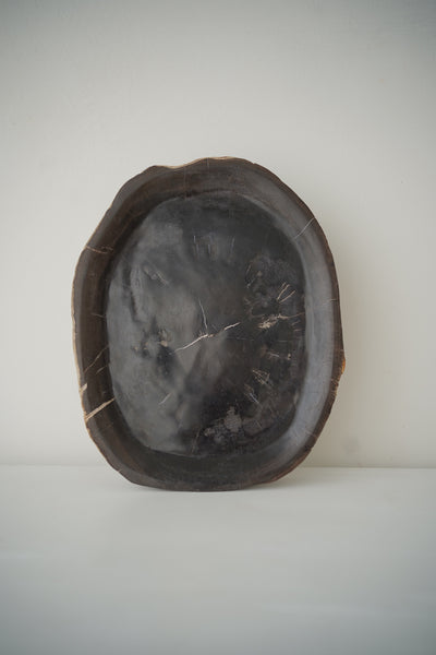 Soft Black Organic Petrified Wood Tray