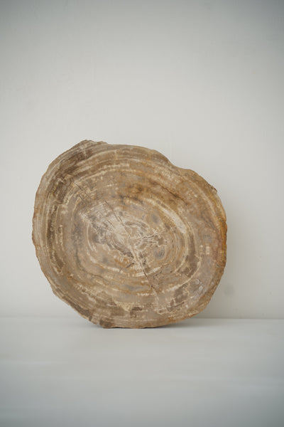 Natural Stone Petrified Wood Slice Tray