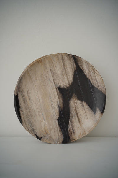 Black & White Abstract Petrified Wood Tray