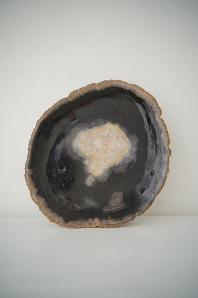 Midnight Centre Petrified Wood Bowl Tray