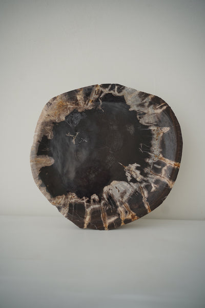 Deep Black Crystal-Edged Petrified Wood Tray