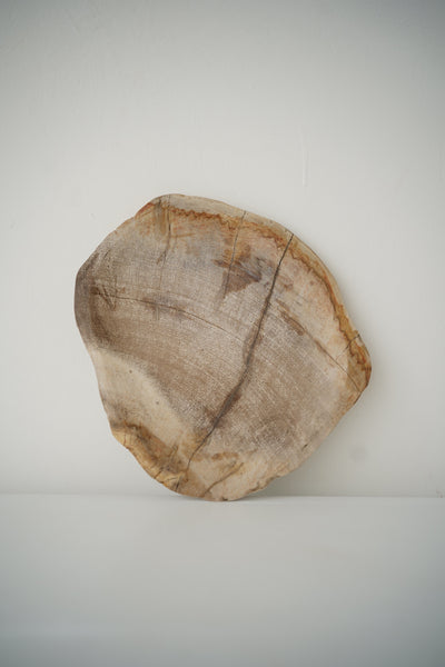 Pale Mineral Petrified Wood Tray
