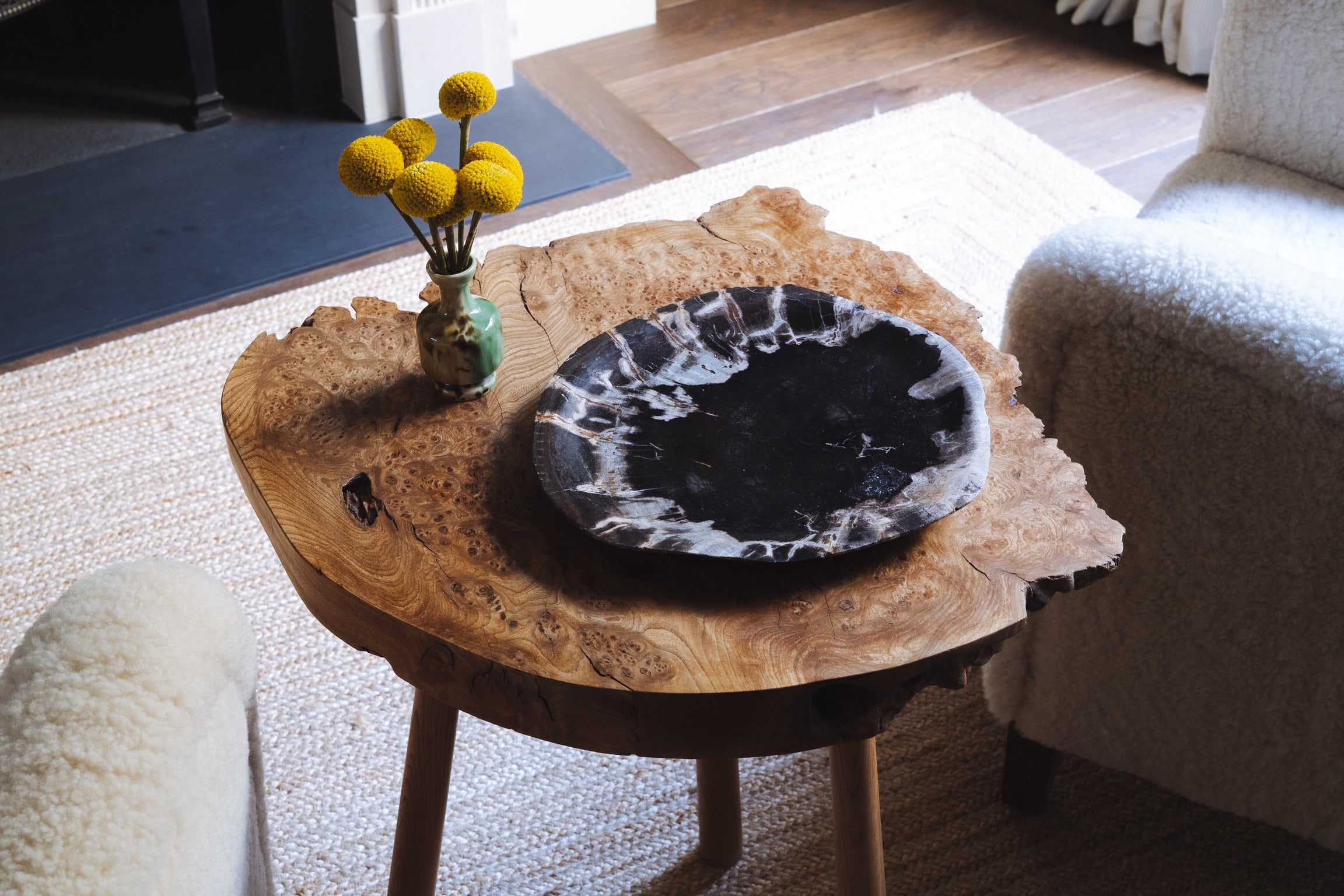 Deep Black Crystal-Edged Petrified Wood Tray