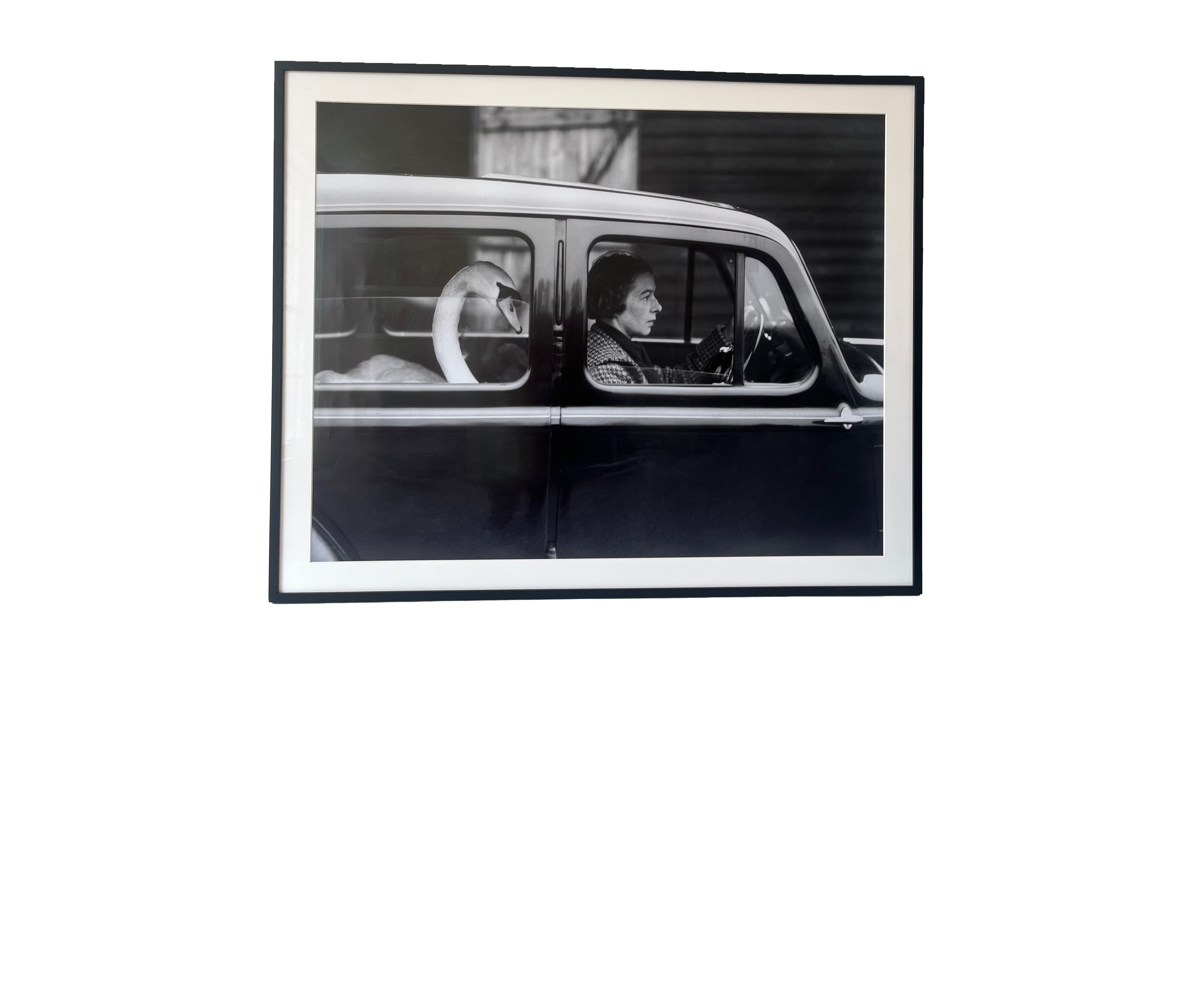 Framed Black and White Sawn in a Car Photograph