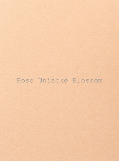 Handmade Sofa Upholstered in Rose Uniacke Popcorn fabric