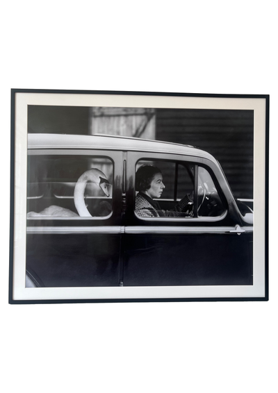 Framed Black and White Sawn in a Car Photograph