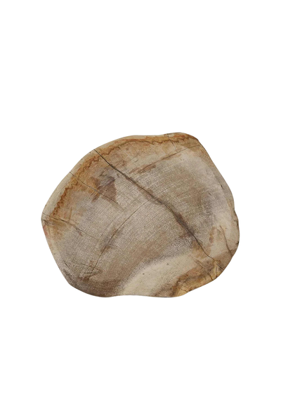 Pale Mineral Petrified Wood Tray