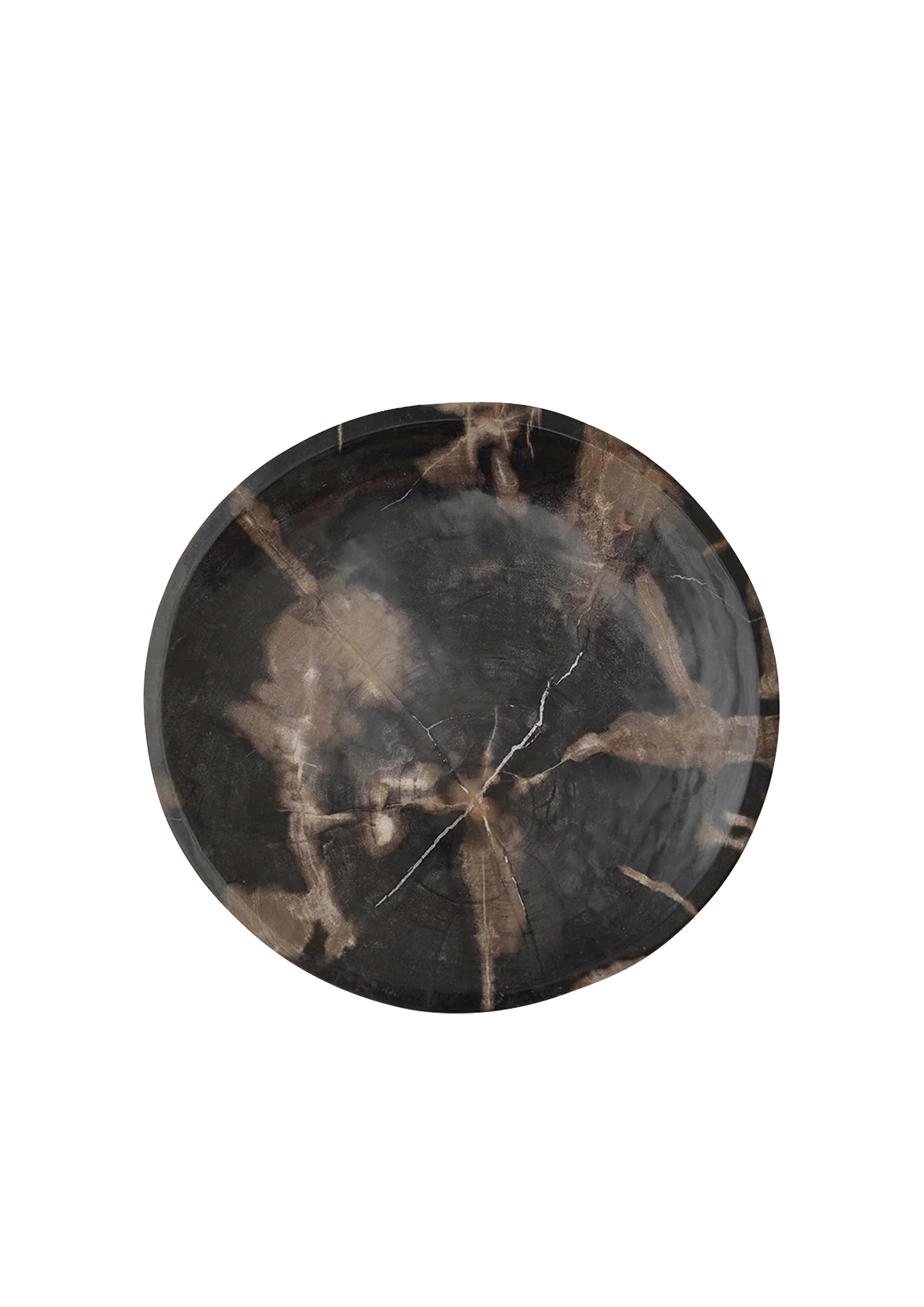 Dark Mineral Petrified Wood Tray