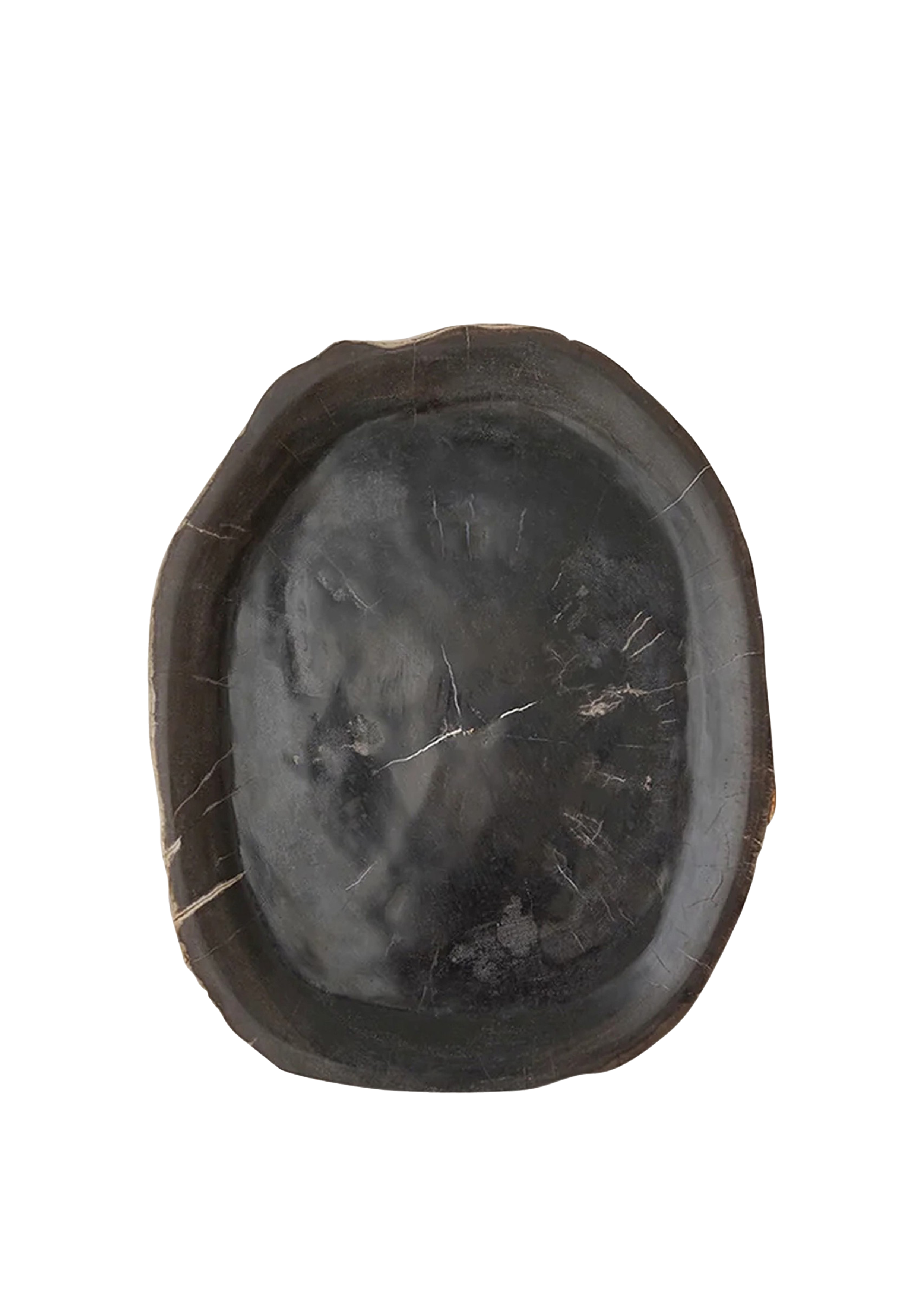 Soft Black Organic Petrified Wood Tray