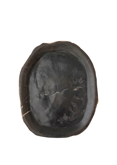 Soft Black Organic Petrified Wood Tray