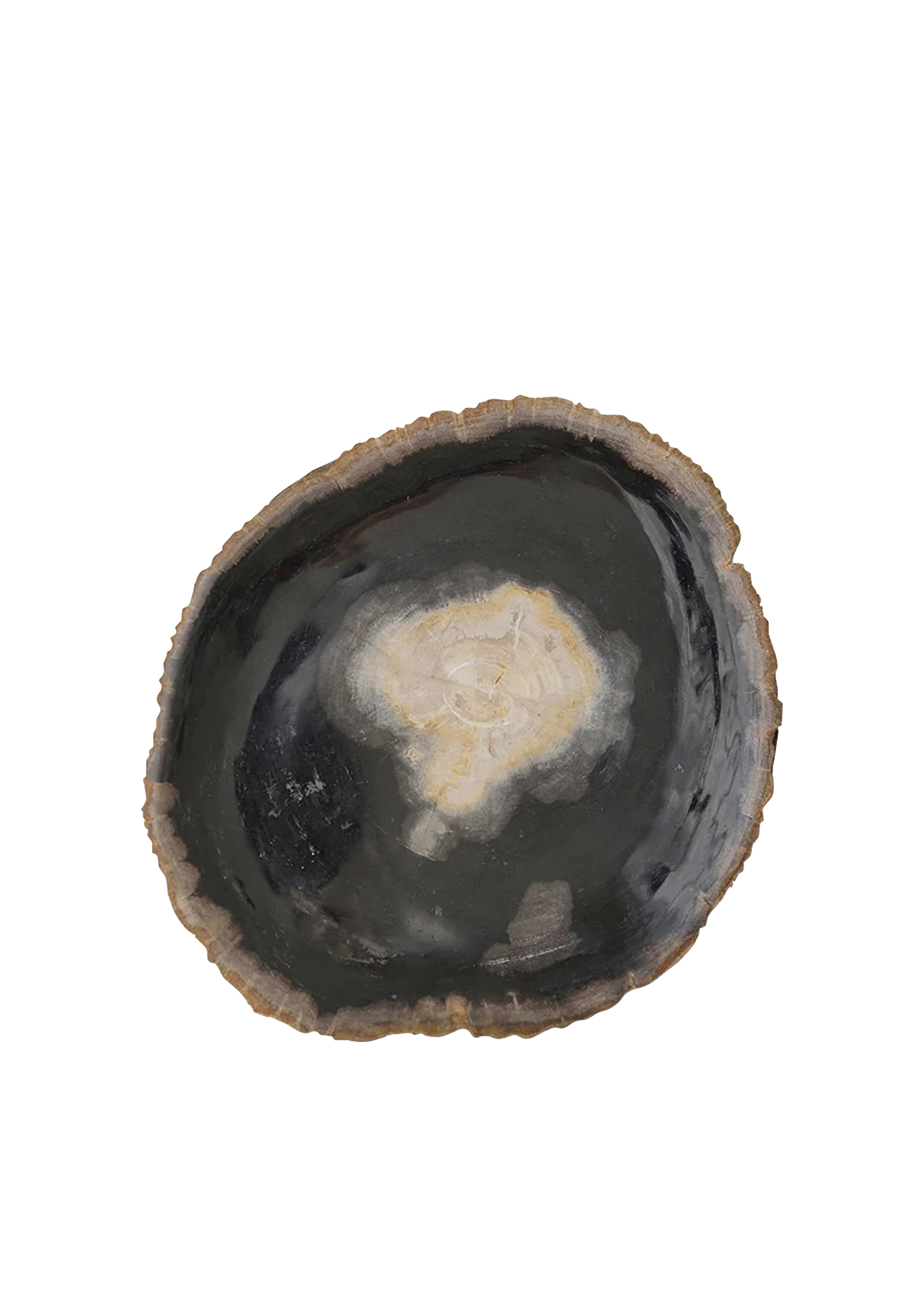 Midnight Centre Petrified Wood Bowl Tray