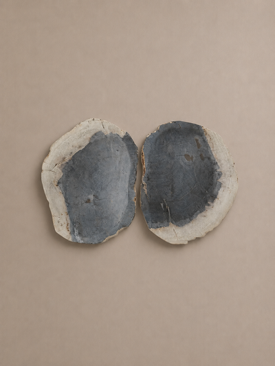 Indigo-Toned Petrified Wood Pair