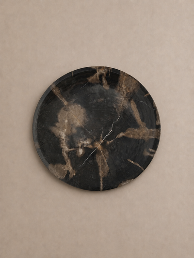 Dark Mineral Petrified Wood Tray