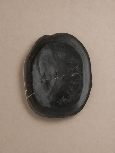 Soft Black Organic Petrified Wood Tray