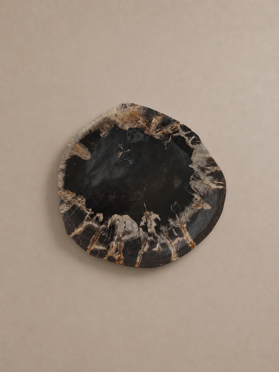 Deep Black Crystal-Edged Petrified Wood Tray