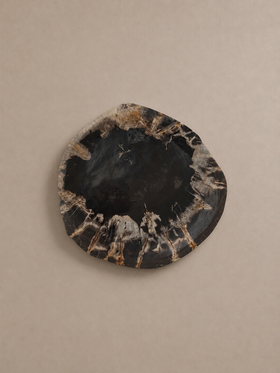 Deep Black Crystal-Edged Petrified Wood Tray
