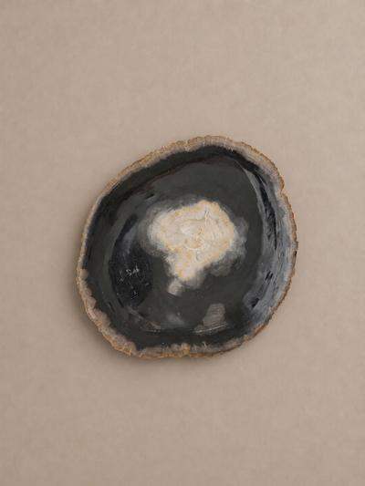 Midnight Centre Petrified Wood Bowl Tray