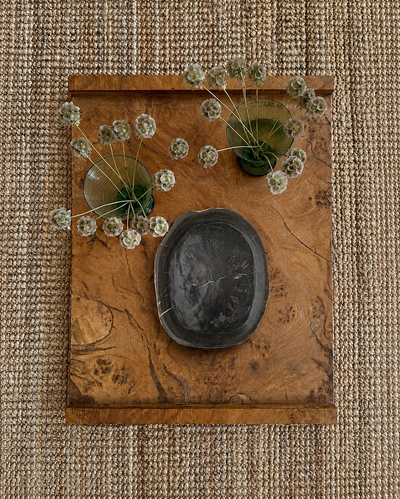 Soft Black Organic Petrified Wood Tray