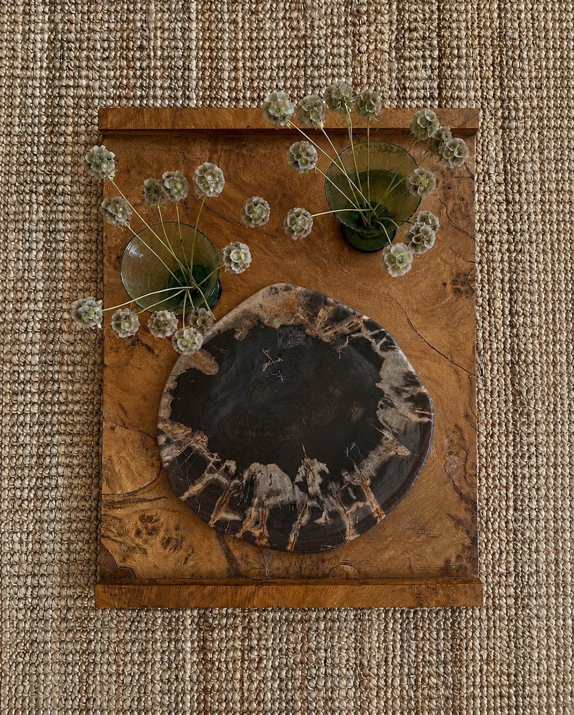 Deep Black Crystal-Edged Petrified Wood Tray