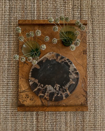 Deep Black Crystal-Edged Petrified Wood Tray