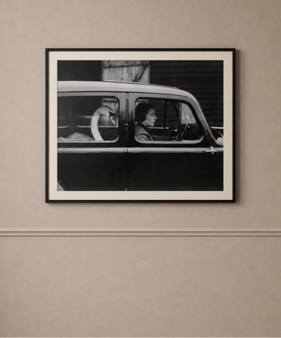 Framed Black and White Swan in a Car Photograph