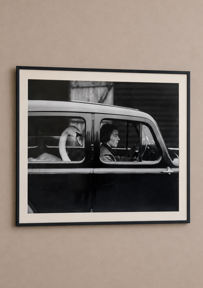 Framed Black and White Swan in a Car Photograph