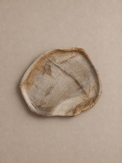 Pale Mineral Petrified Wood Tray